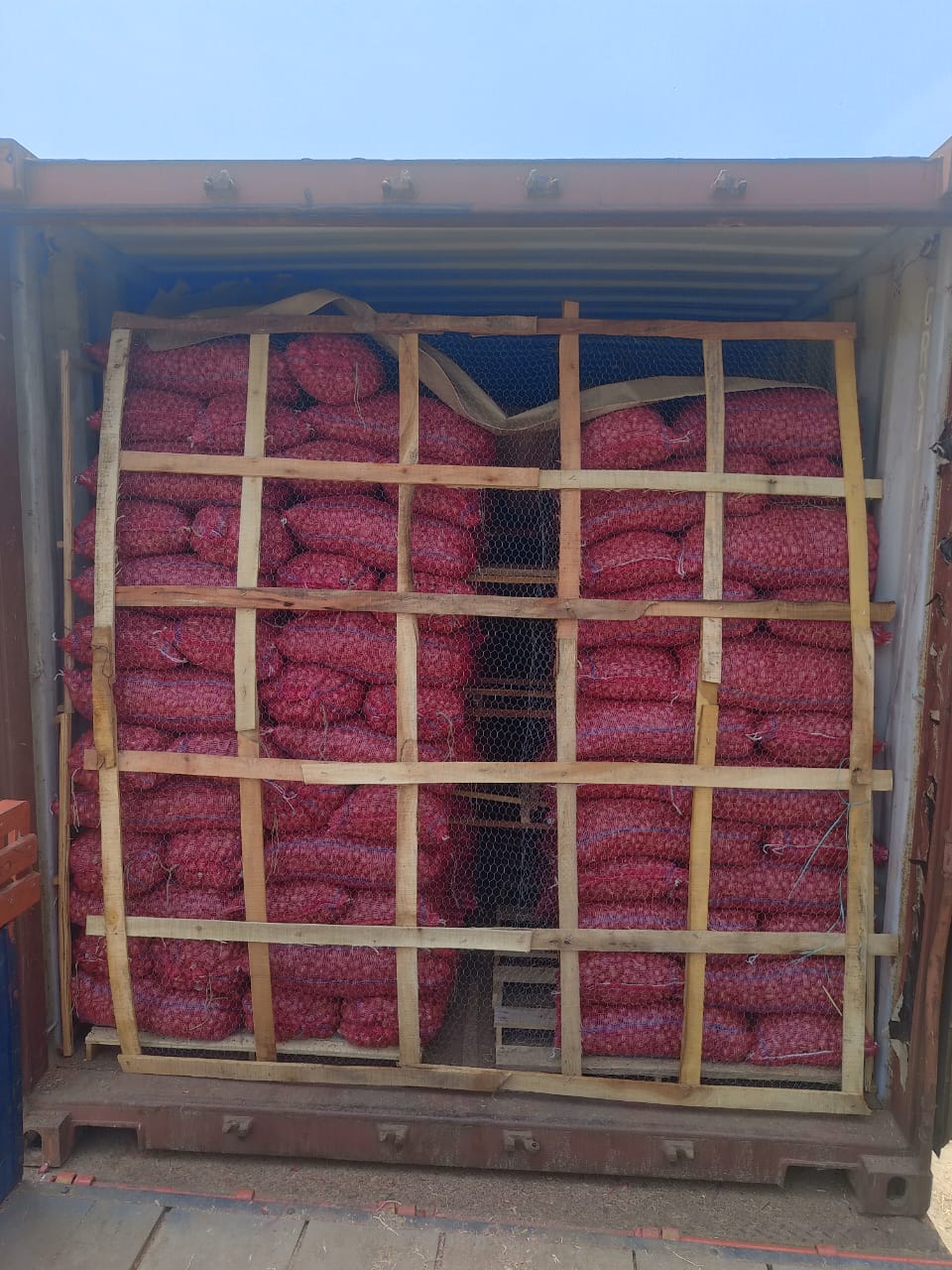 Export quality shallot red onions